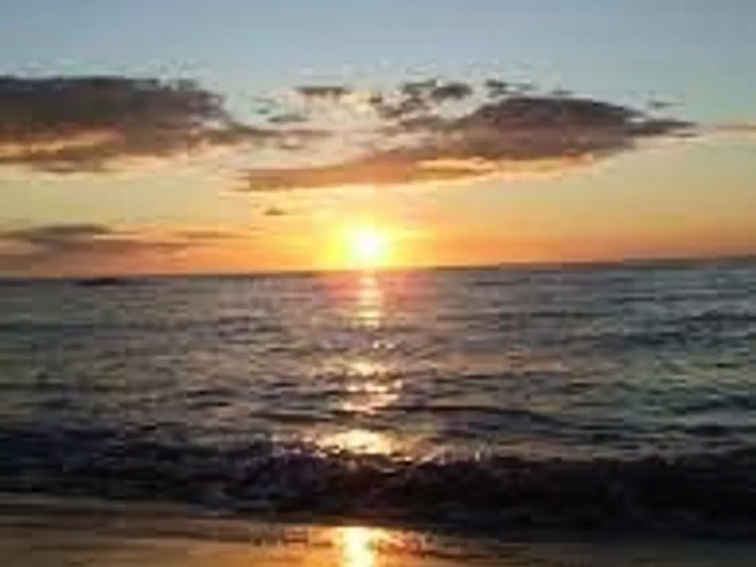 Location de Vacances Canet-en-Roussillon 77