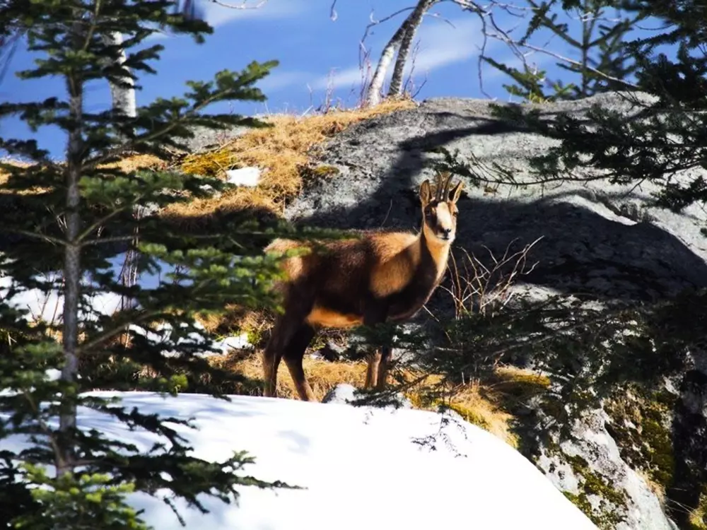 Location de Vacances Cauterets 502