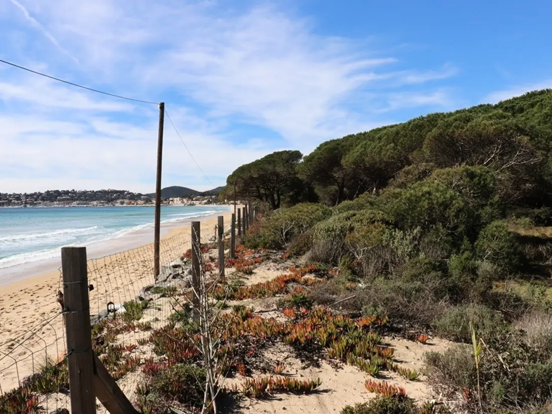 Maison de Vacances Cavalaire-sur-Mer 212