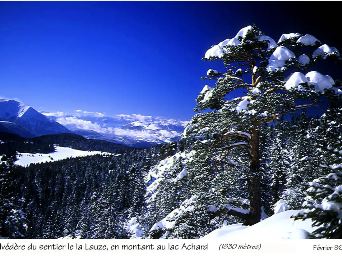 Location de Vacances Chamrousse 141