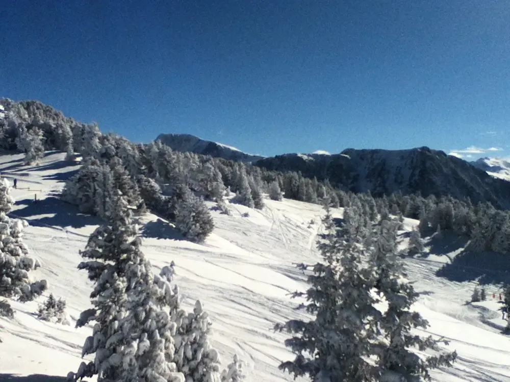 Location de Vacances Chamrousse 228