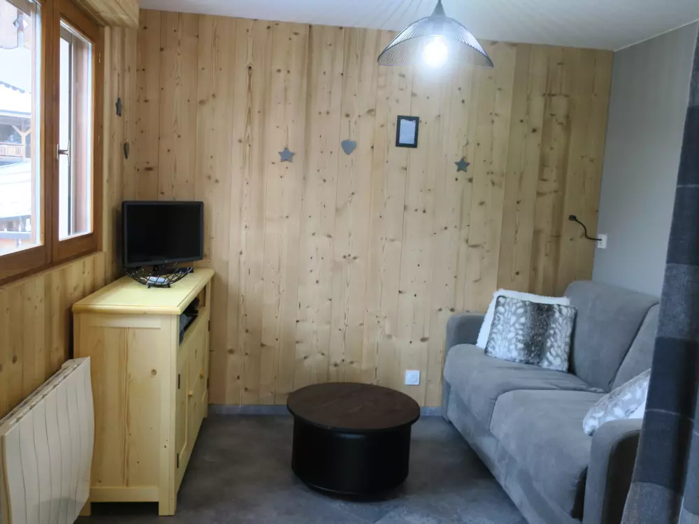 Location de Vacances Châtel 287