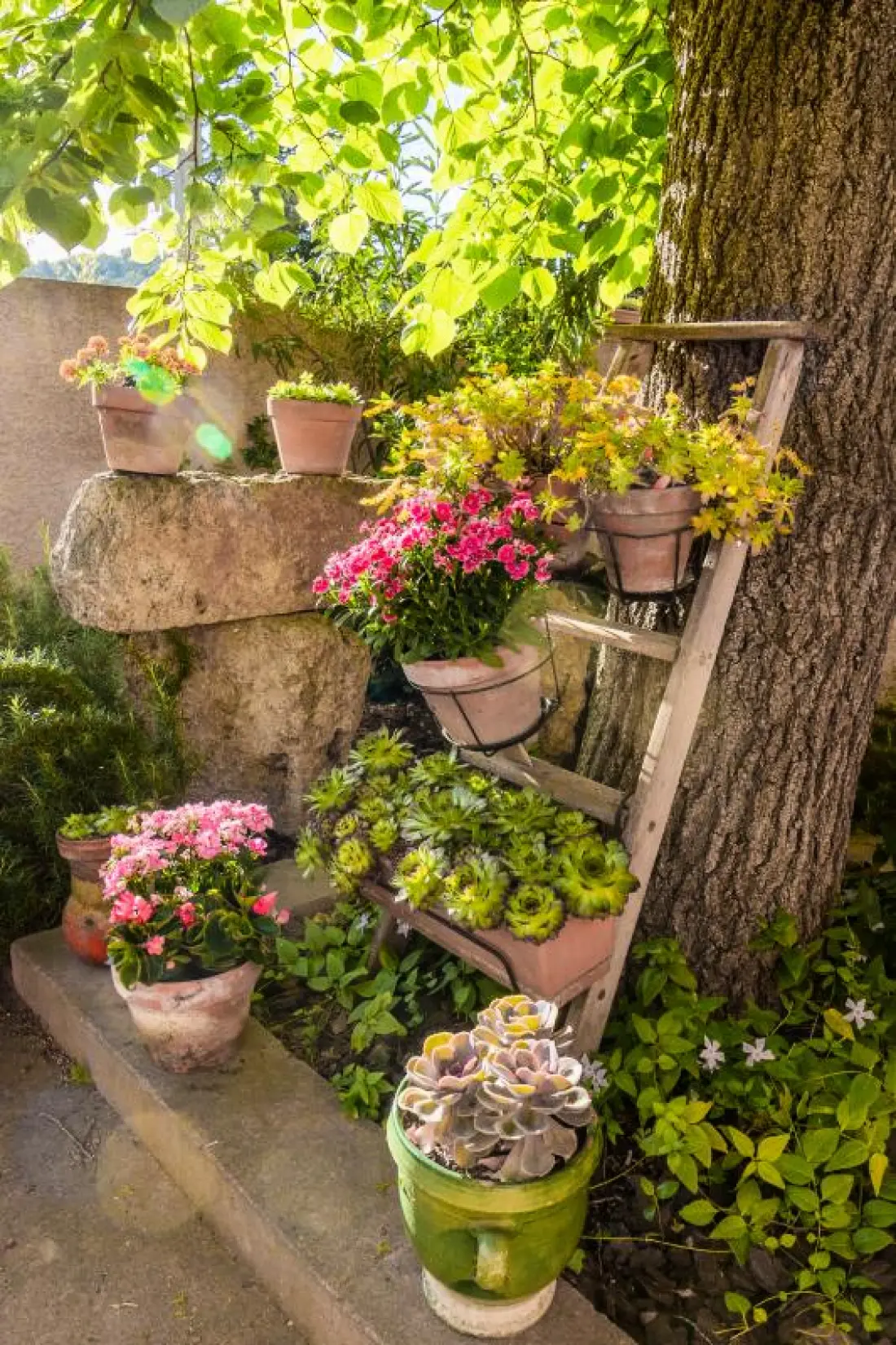 Gîte de France à Ferrals Les Corbieres  5