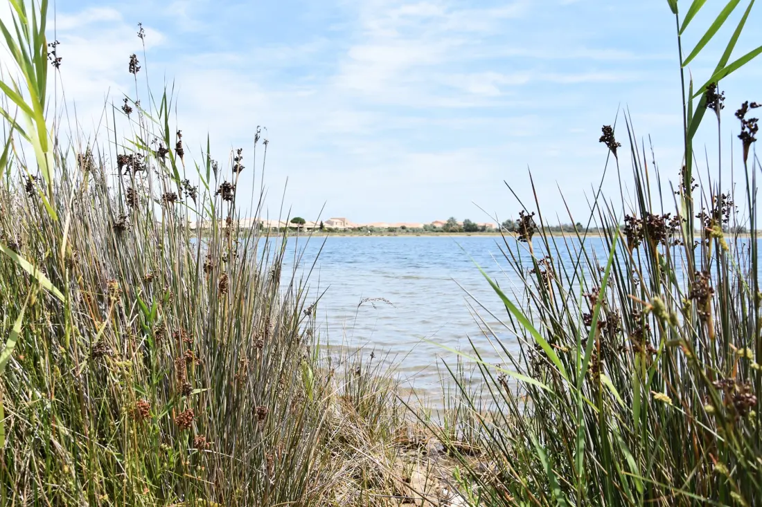 Résidence Maisons De La Plage