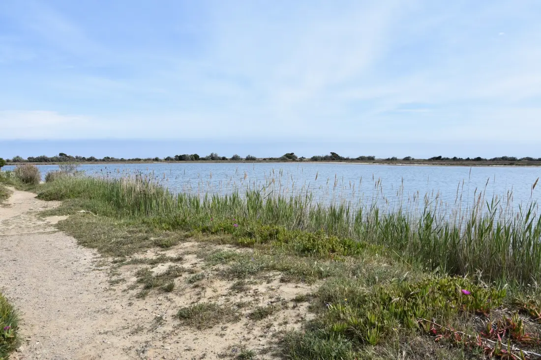 Résidence Maisons De La Plage