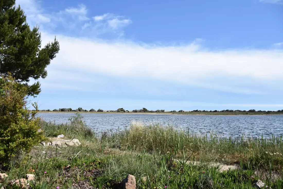 Résidence Maisons De La Plage