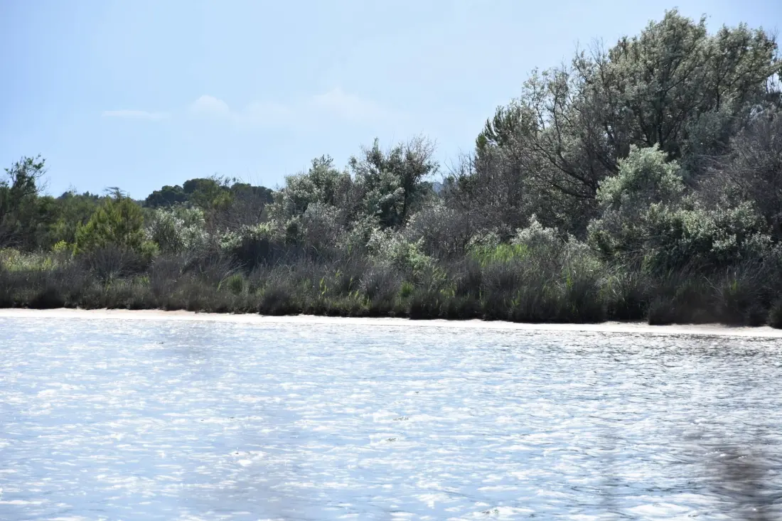Résidence Maisons De La Plage