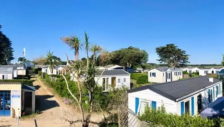 camping le bois d amour ile tudy