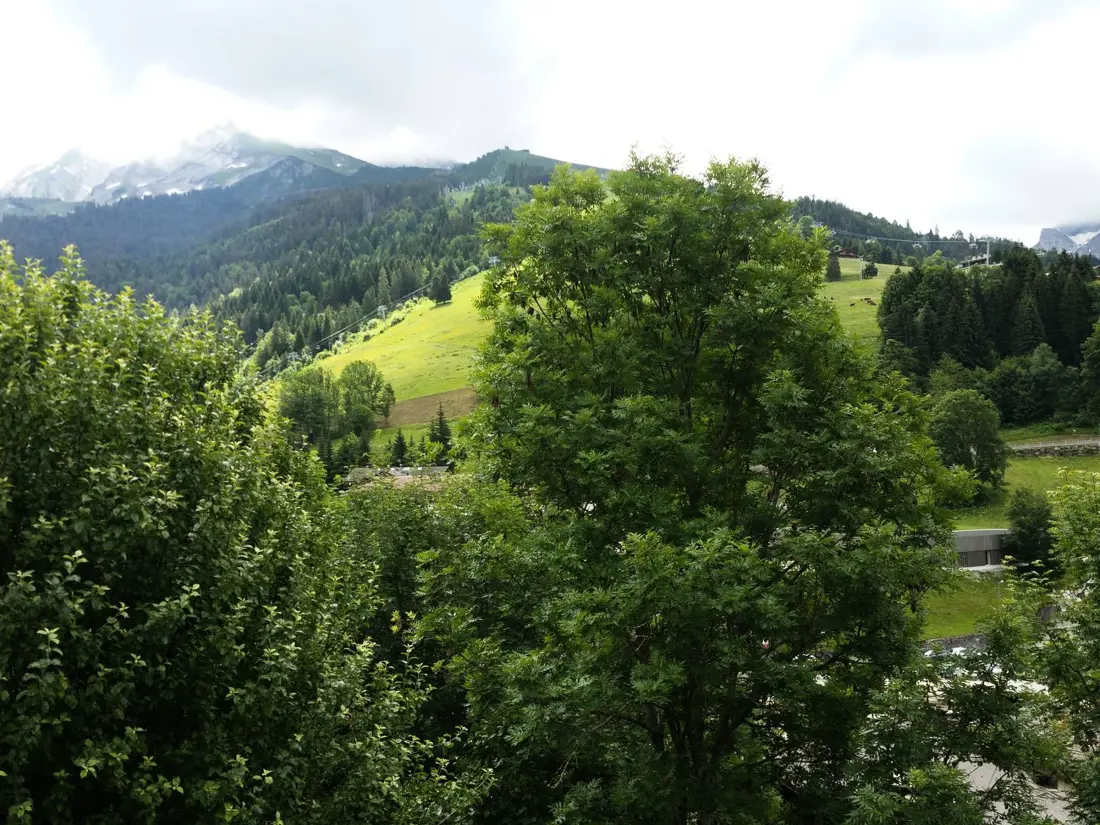 Location de Vacances La Clusaz 424