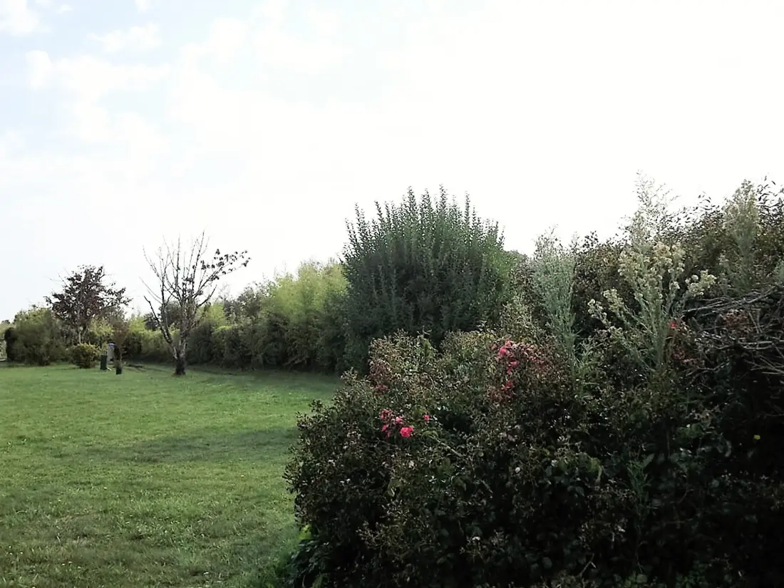 Maison de Vacances La Tranche-sur-Mer 532