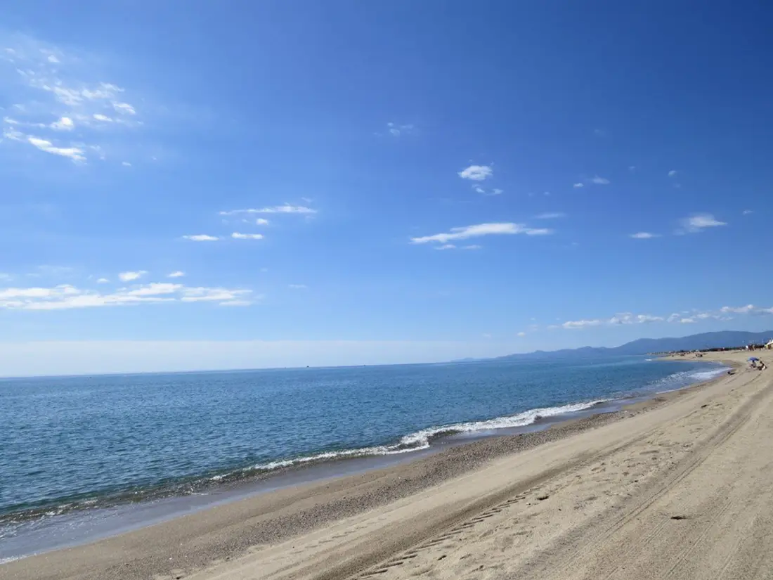 Location de Vacances Le Barcarès 233