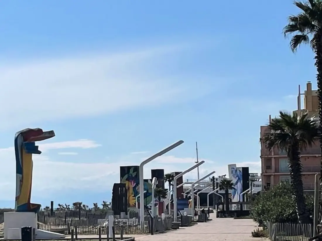 Location de Vacances Le Barcarès 314