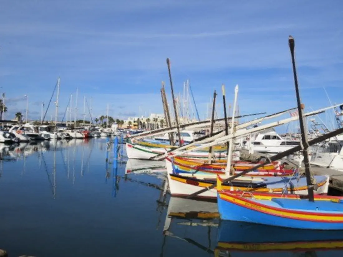 Location de Vacances Le Barcarès 87