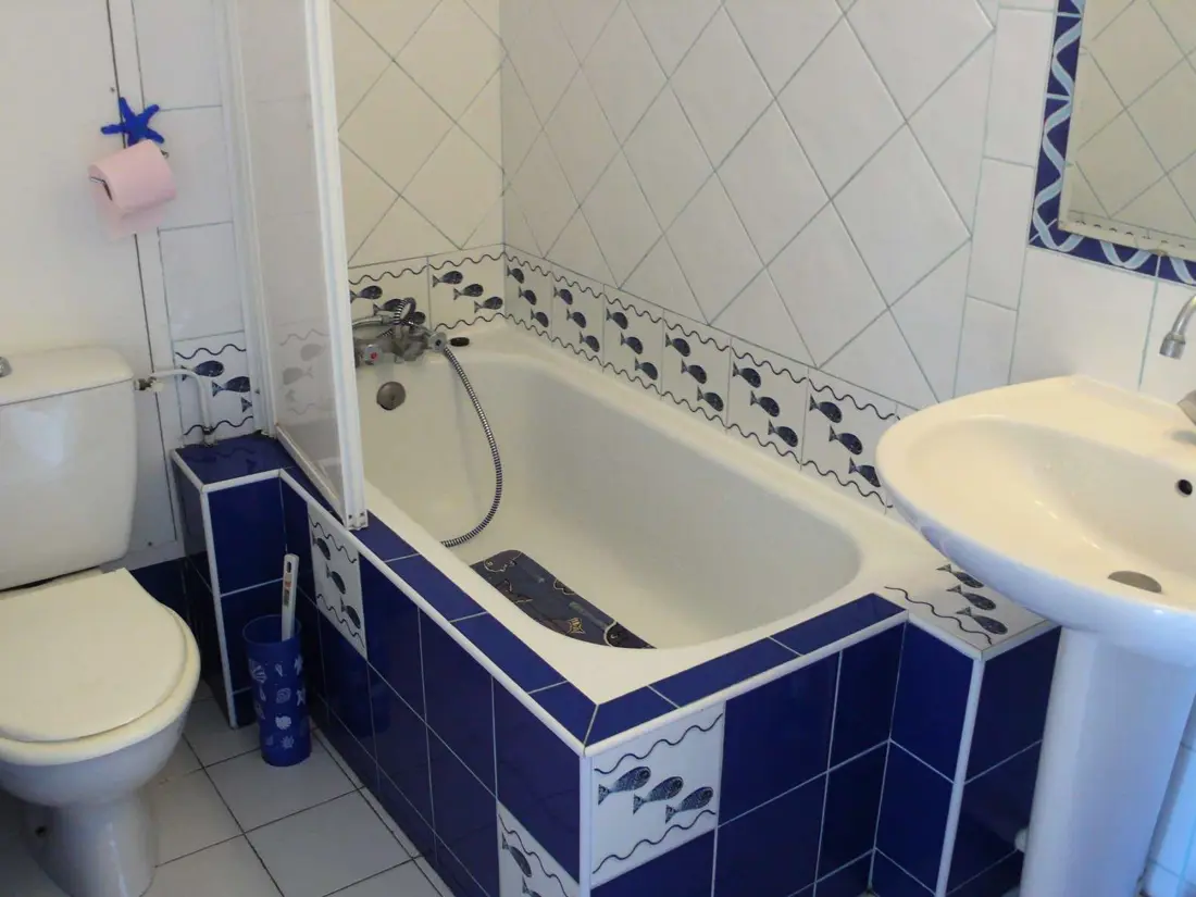 Location de Vacances Le Lavandou 97