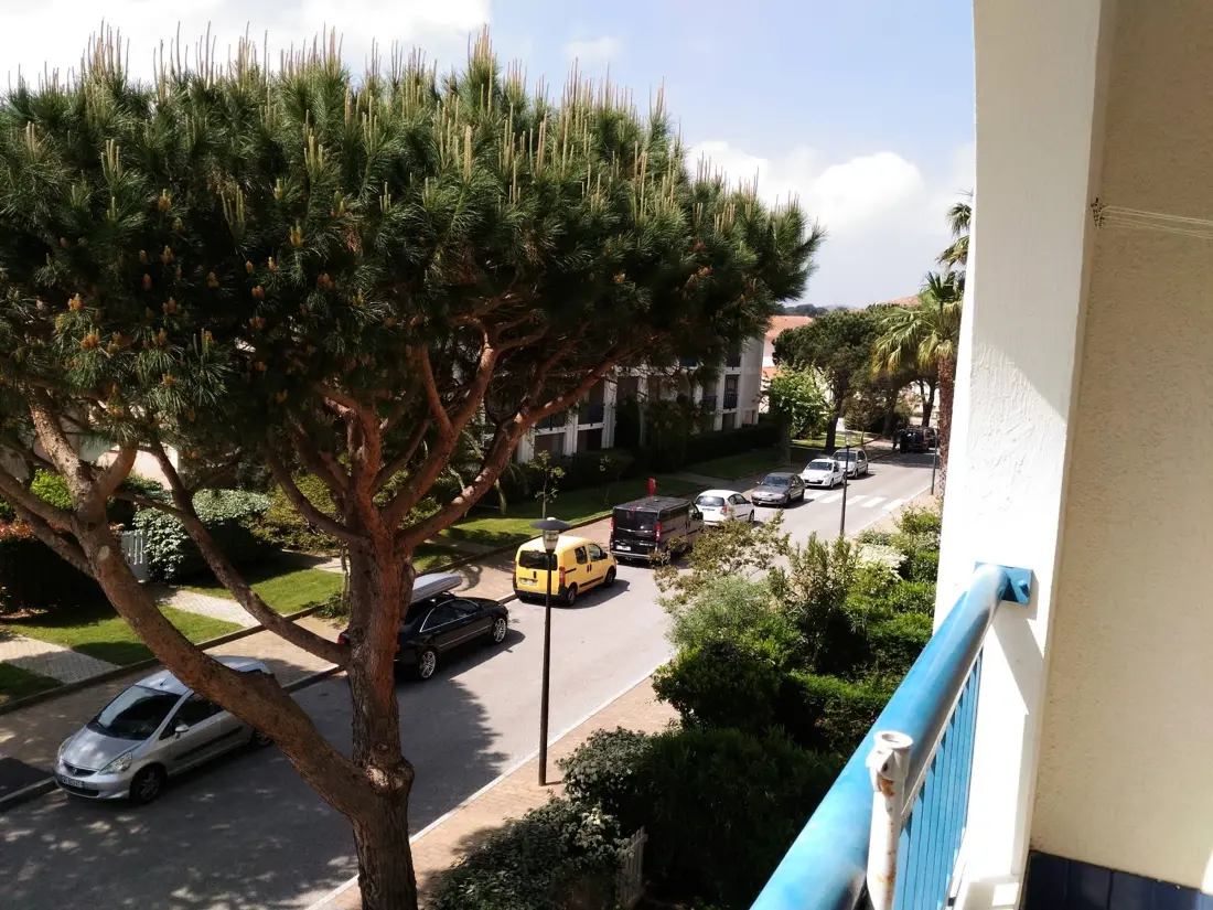 Location de Vacances Le Lavandou 97