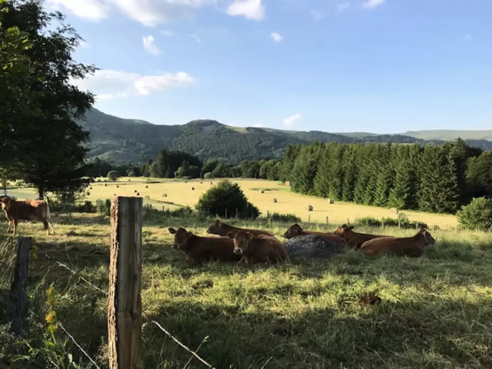 Location de Vacances Mont-Dore 241