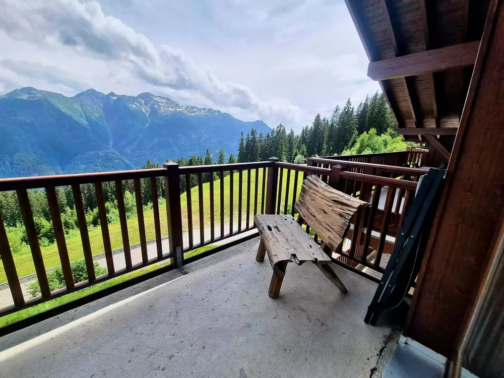 Location de Vacances Les Saisies 417