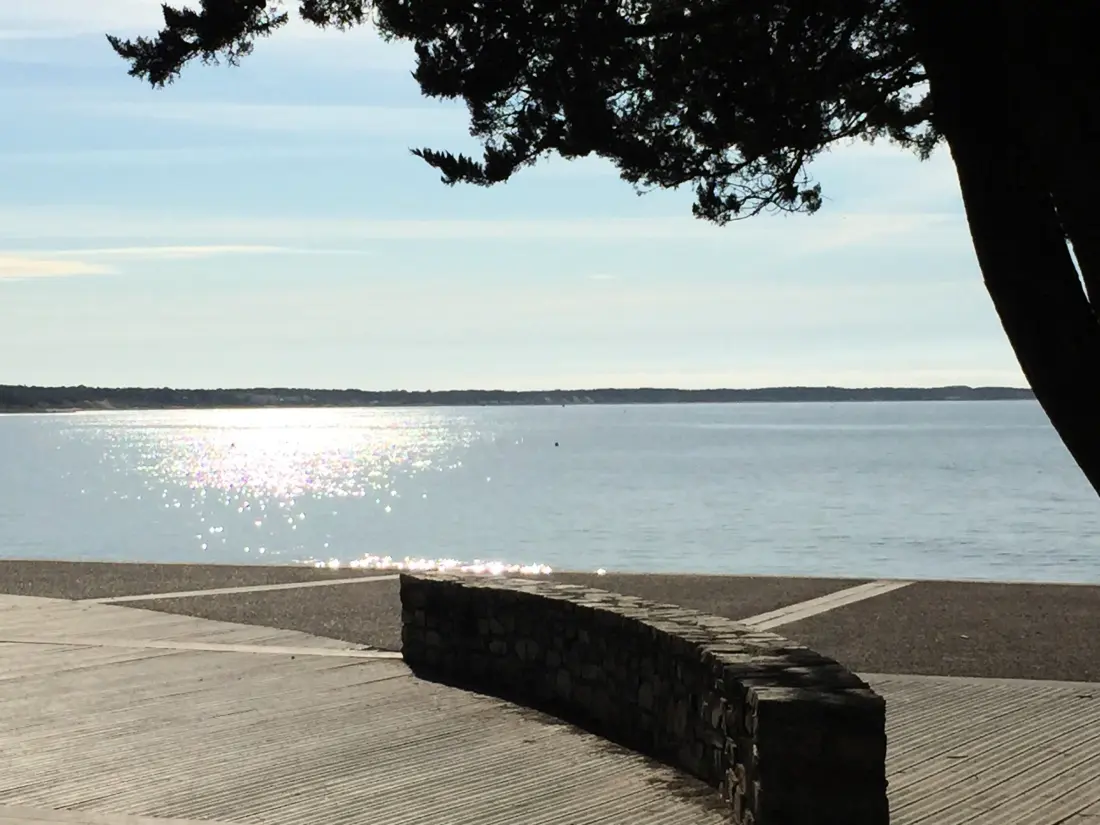 Location de Vacances Longeville-sur-Mer 30