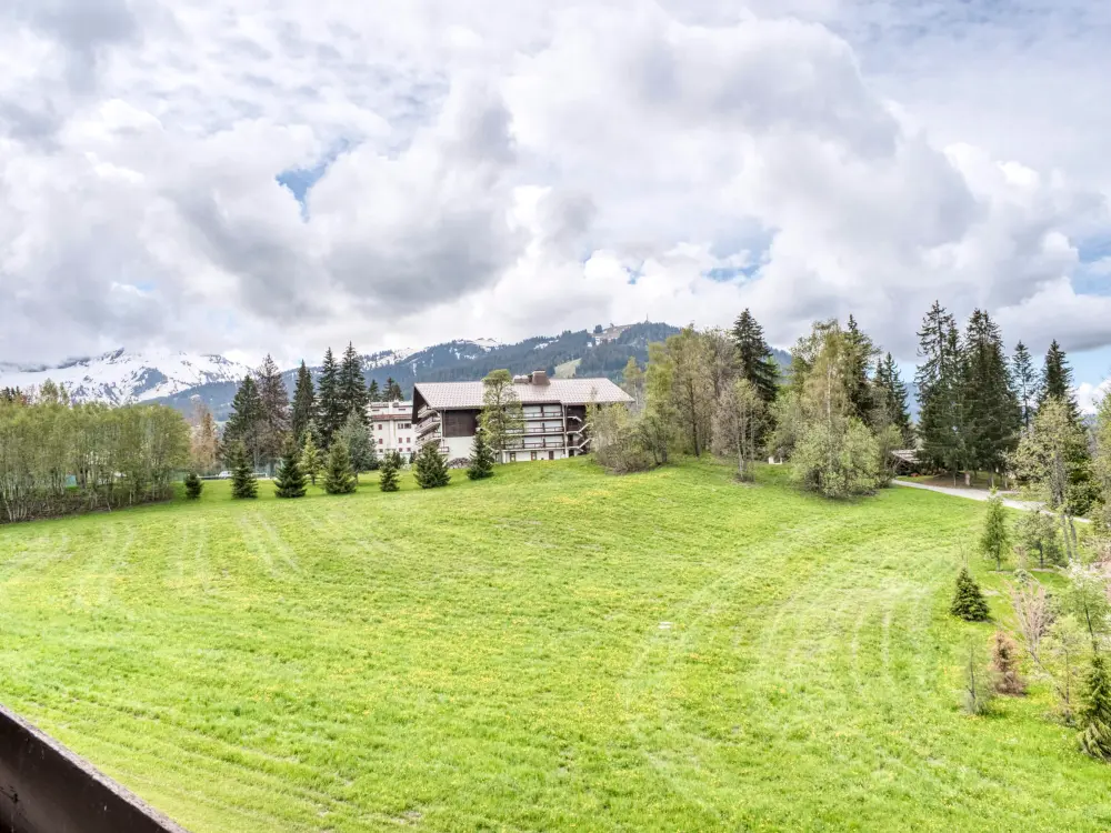 Location de Vacances Megève 281