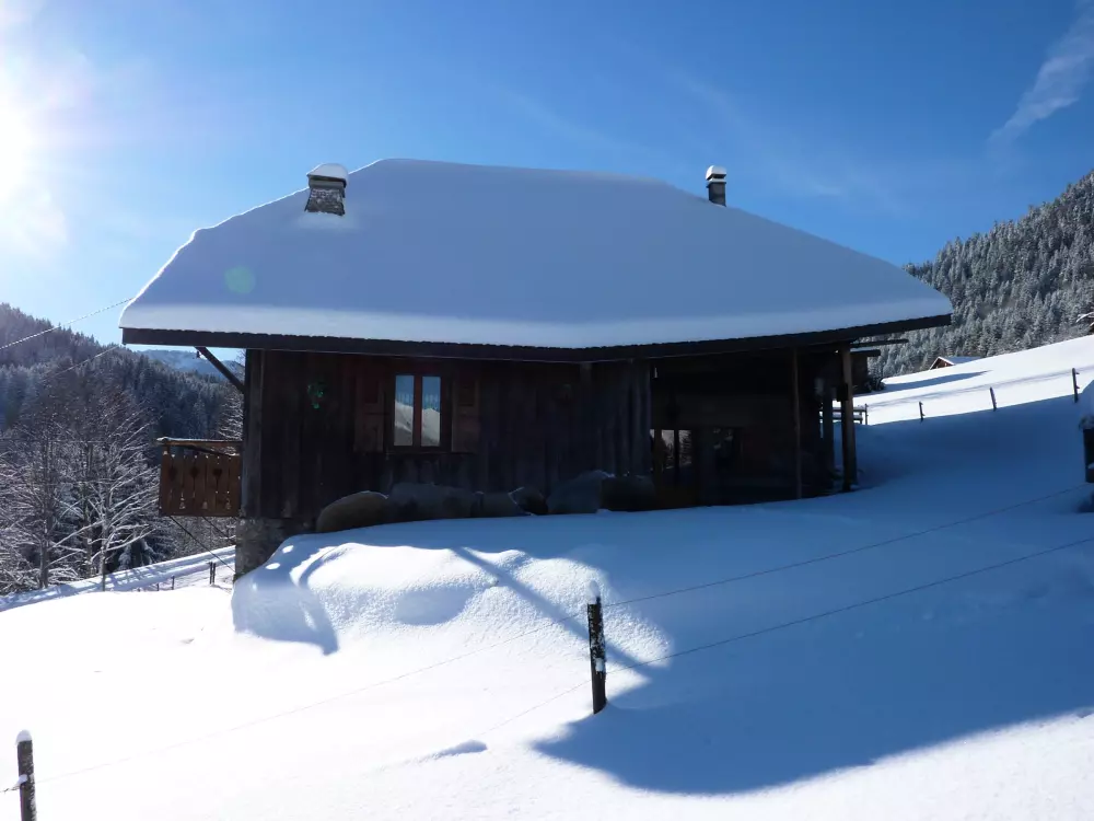 Maison de Vacances Morzine 88