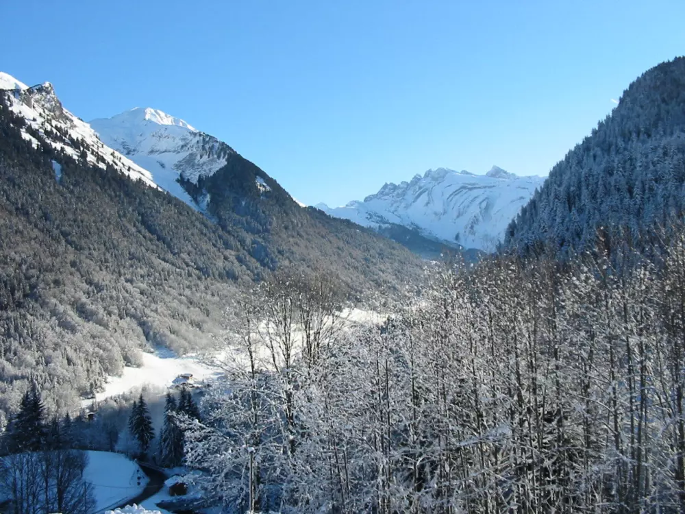 Maison de Vacances Morzine 88