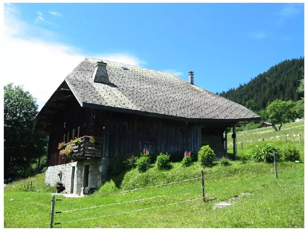 Maison de Vacances Morzine 88