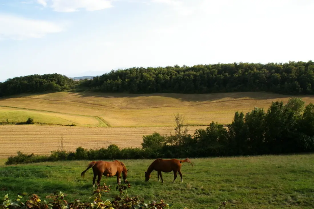 Gîte de France à Pecharic Et Le Py  1