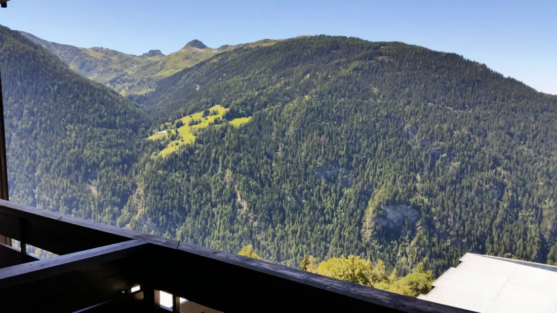 Résidence Aiguille Grive