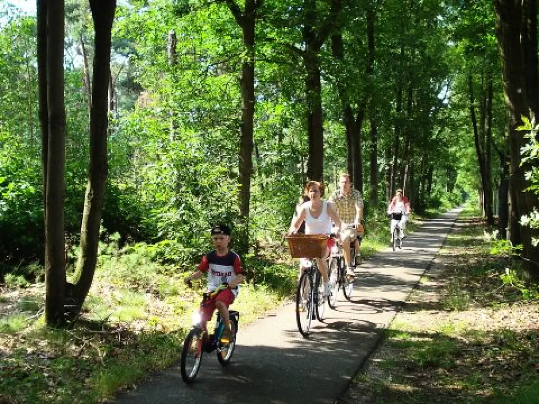 Camping Paradis Mer D'Iroise 4 étoiles★★★★
