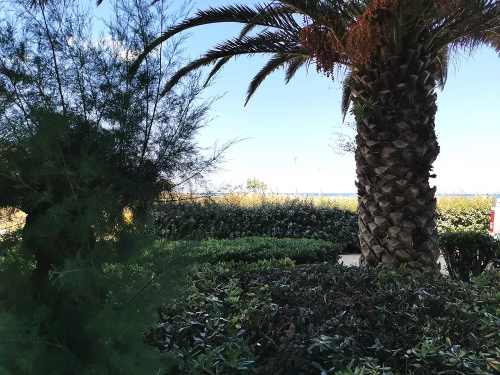 Résidence Les Cyclades