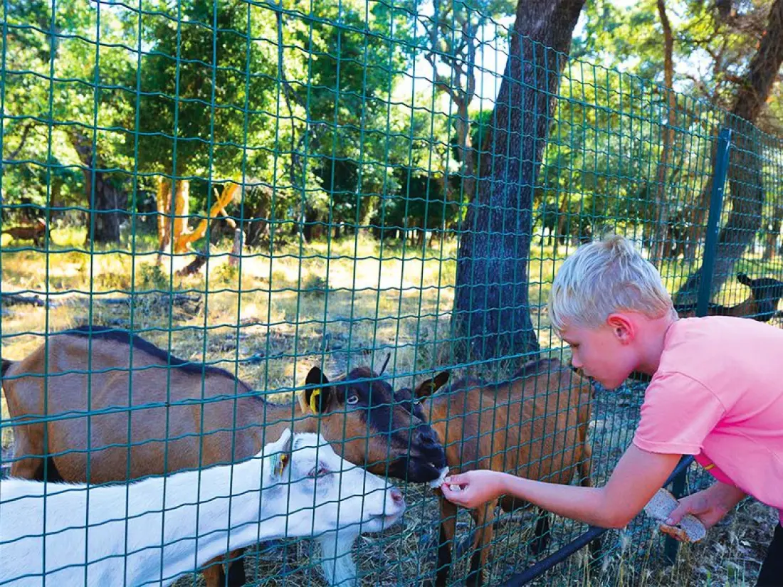 Camping Via Romana  3 étoiles★★★
