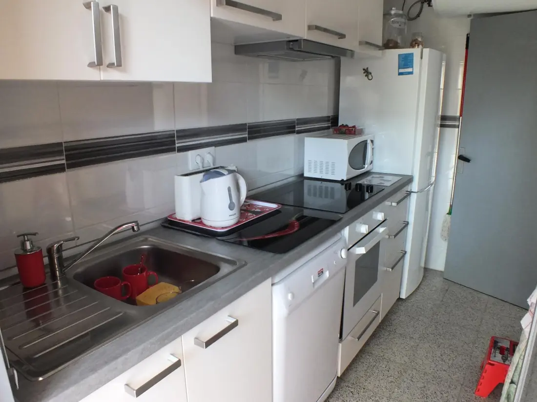 Location de Vacances Roses 309