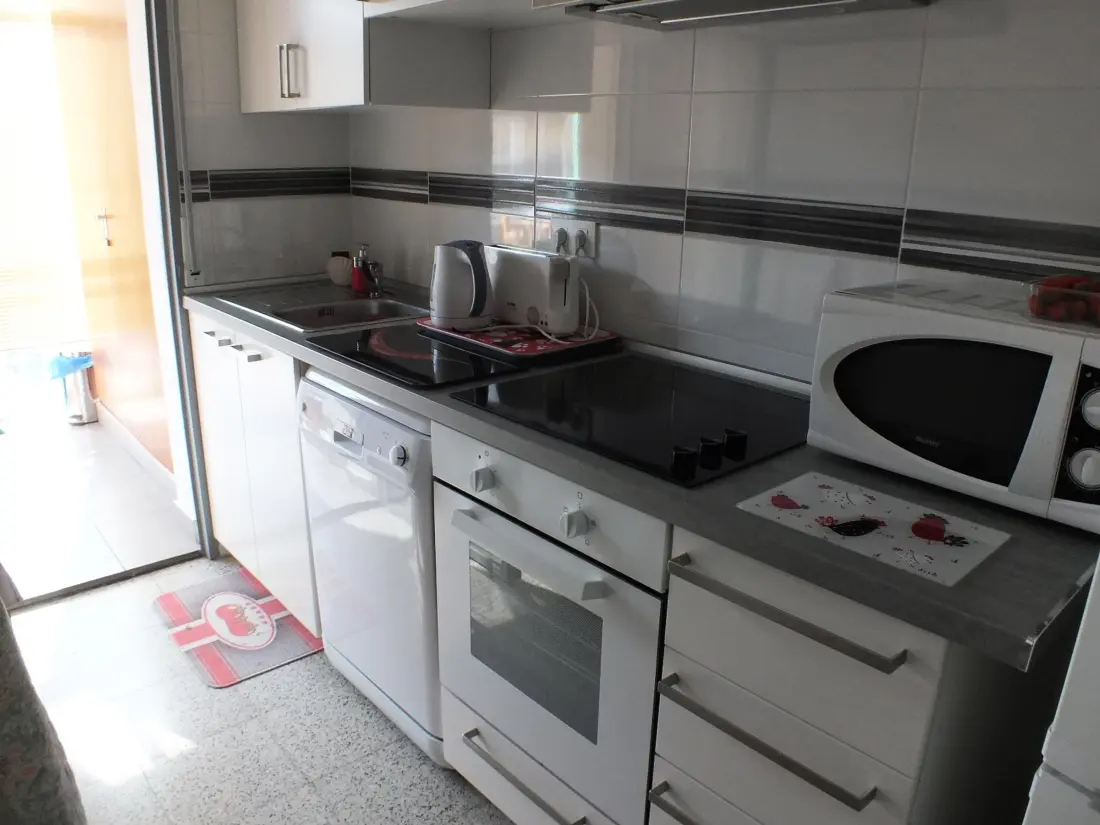 Location de Vacances Roses 309