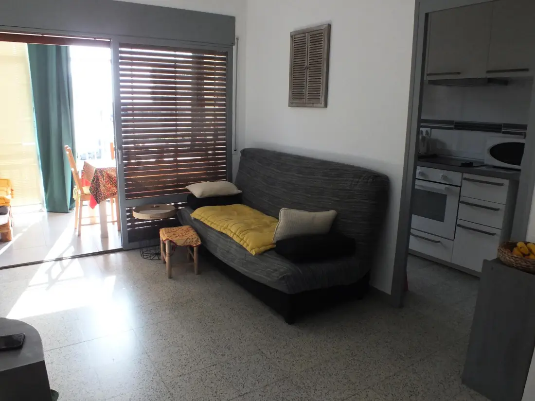Location de Vacances Roses 309