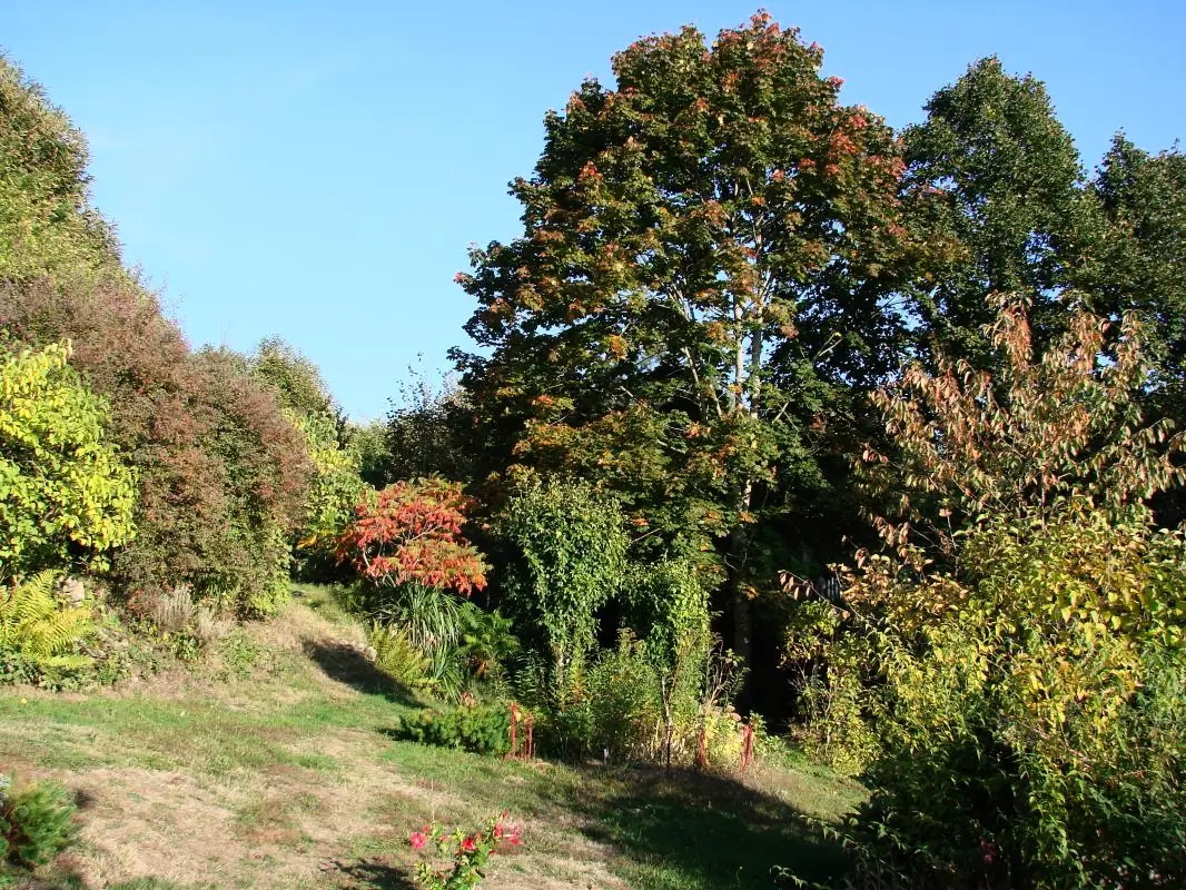 Gîte de France Gite de chouvert  "francois" 3 épis