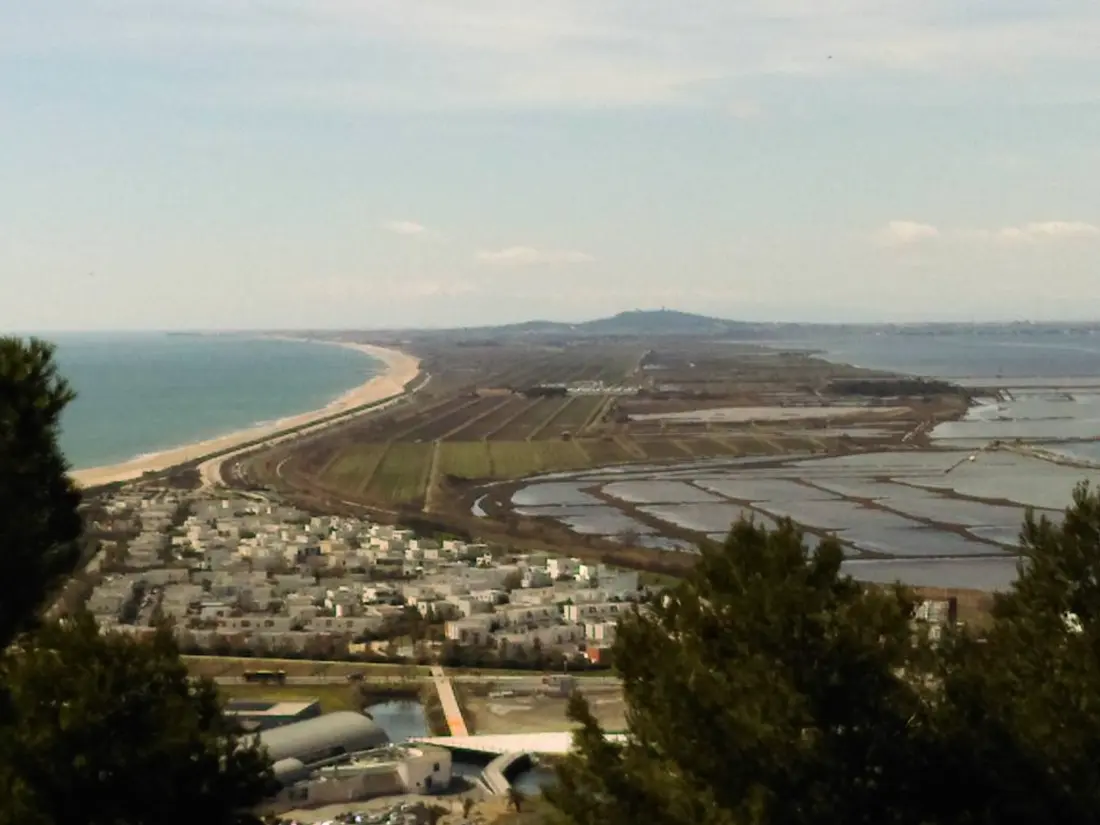 Location de Vacances Sete 584