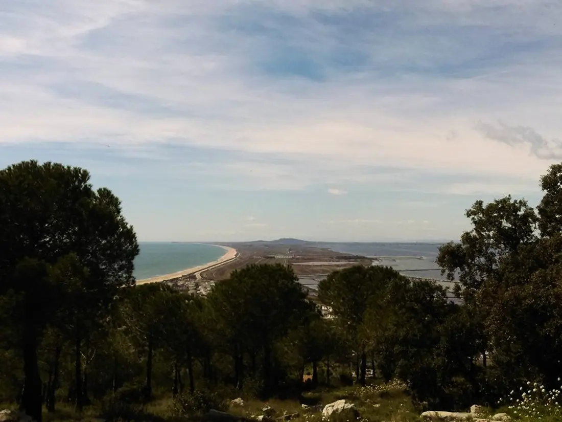 Location de Vacances Sete 595