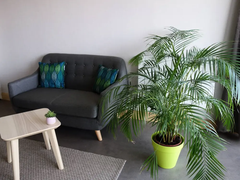 Location de Vacances TREGASTEL 135