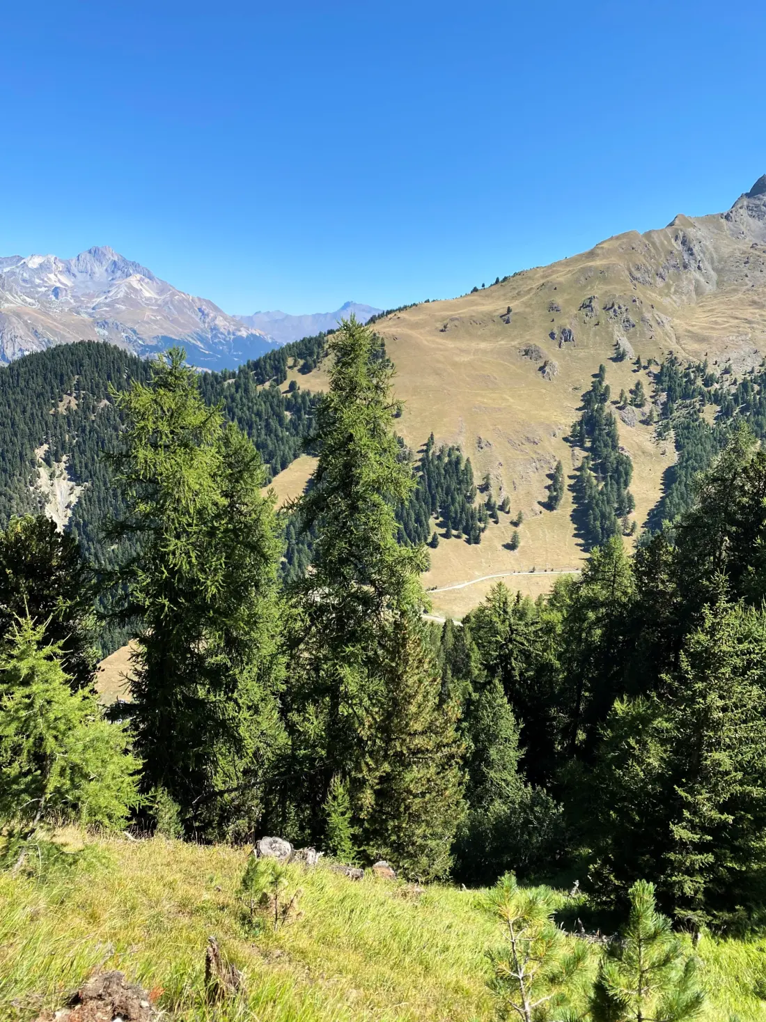 Appartements à Valfréjus