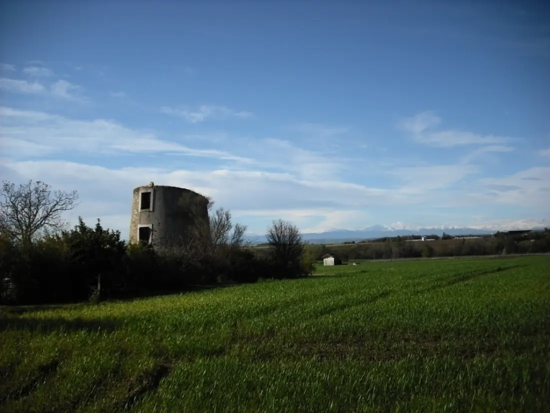 Gîte de France à Villespy  1