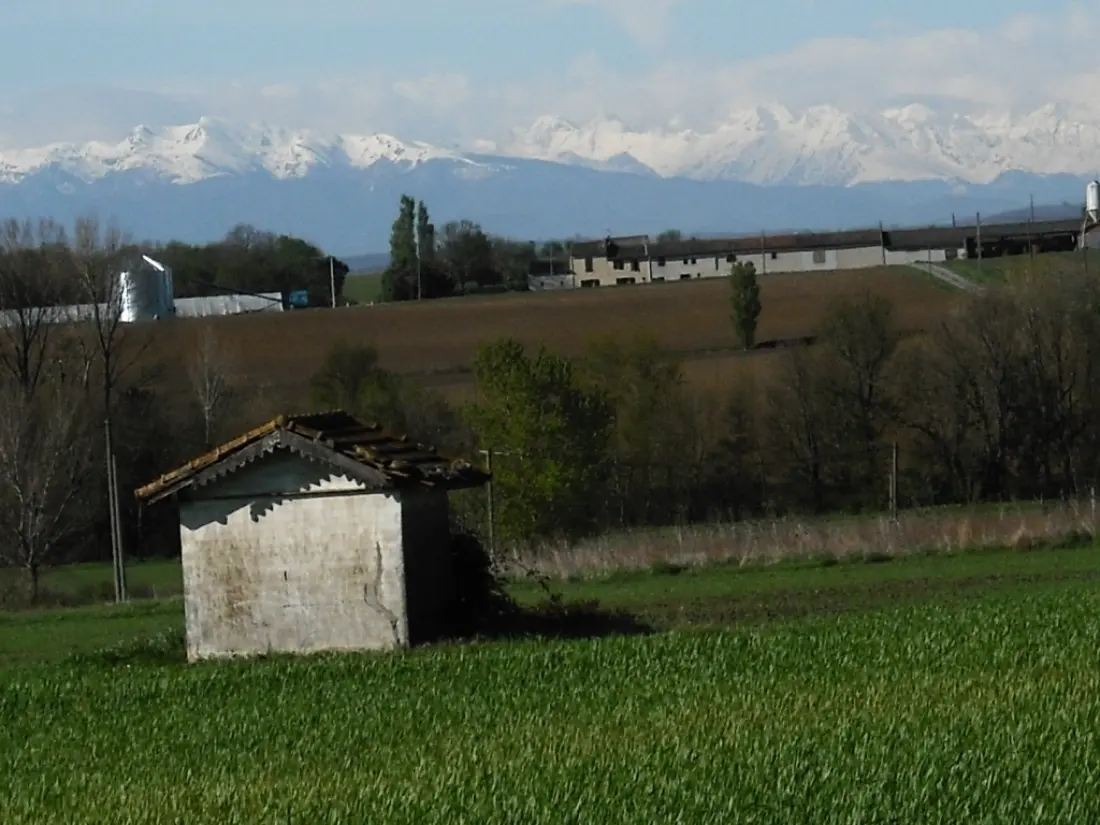 Gîte de France à Villespy  1