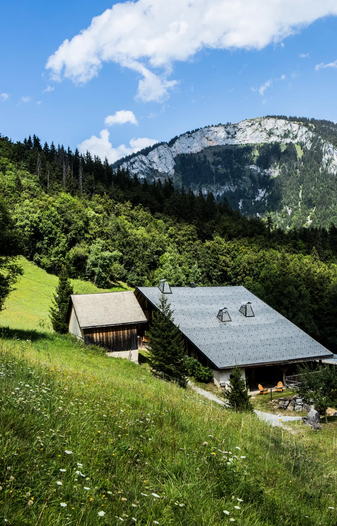 Chalets à Abondance