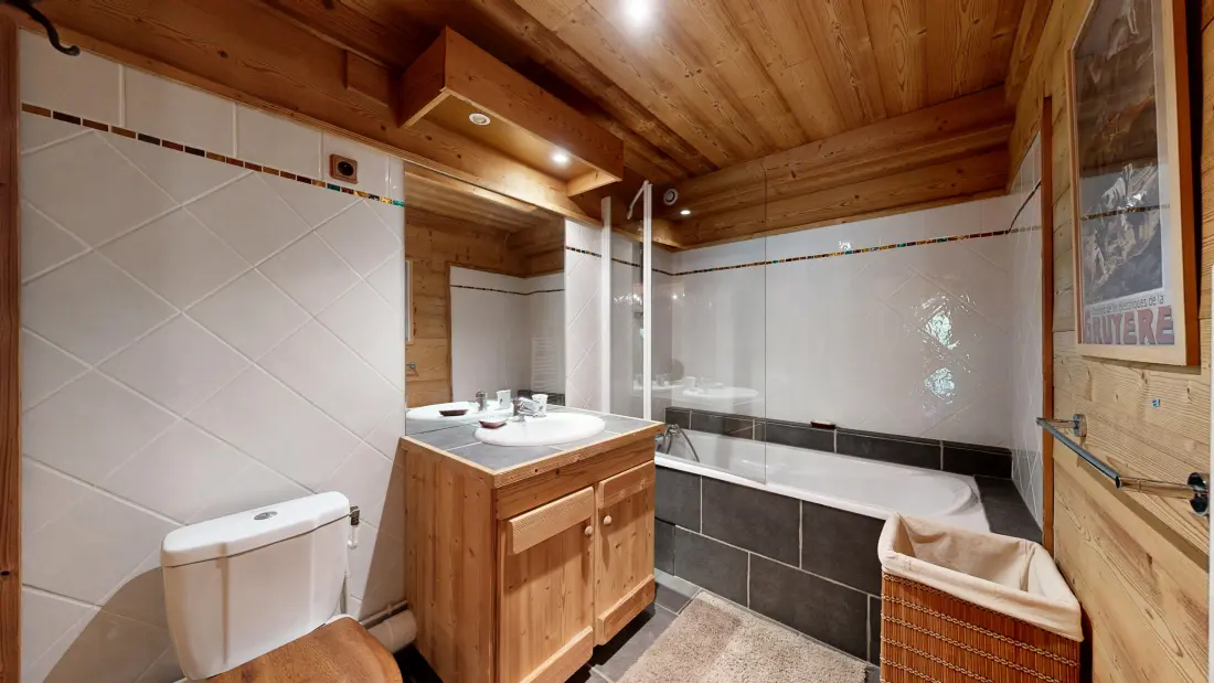 Chalets à Abondance