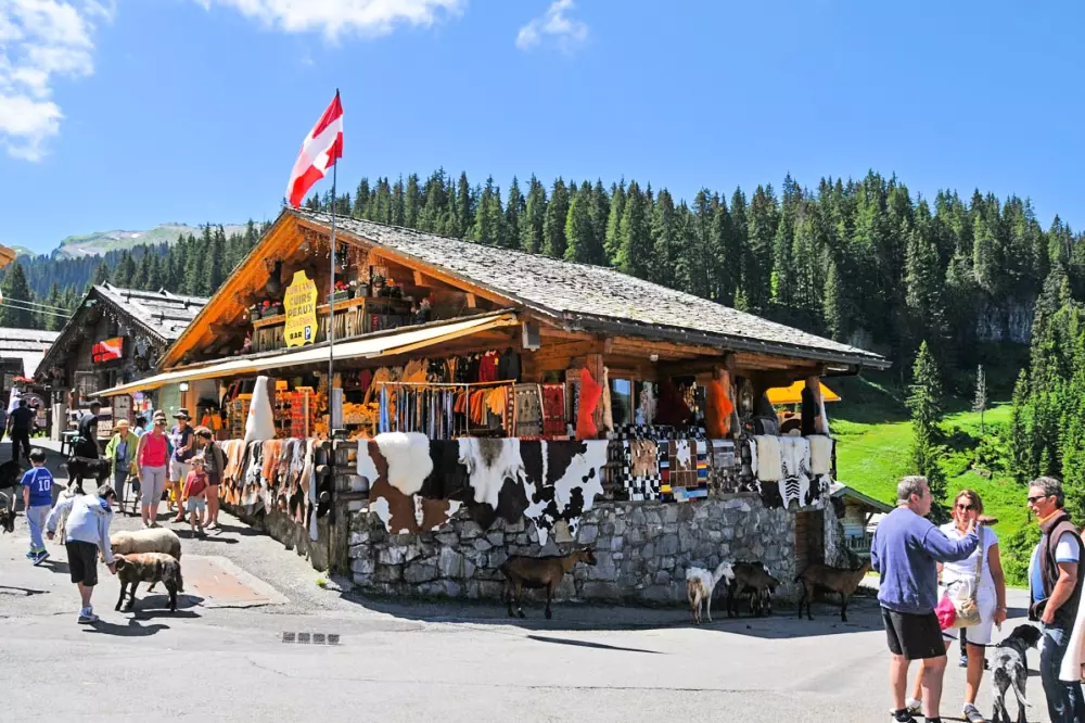 AlpChalets Portes du Soleil 5 étoiles★★★★★
