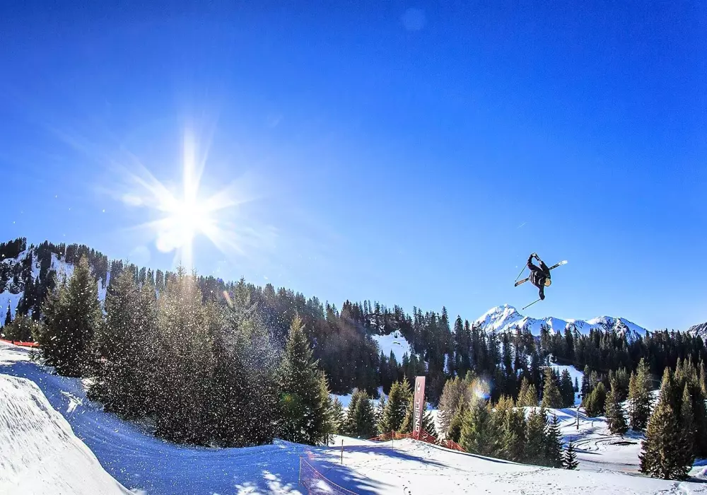 AlpChalets Portes du Soleil 5 étoiles★★★★★