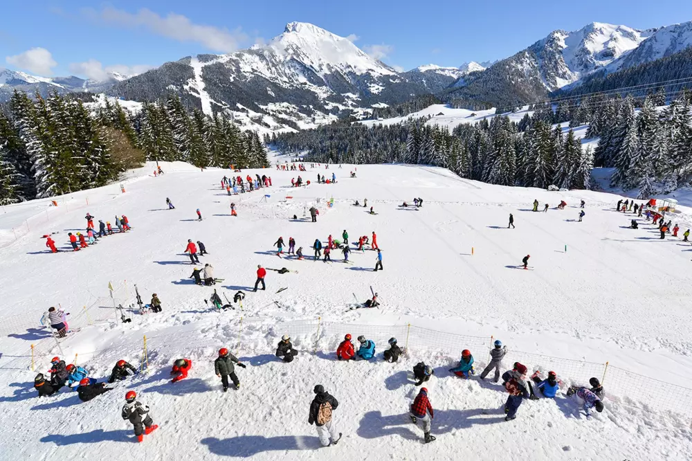AlpChalets Portes du Soleil 5 étoiles★★★★★