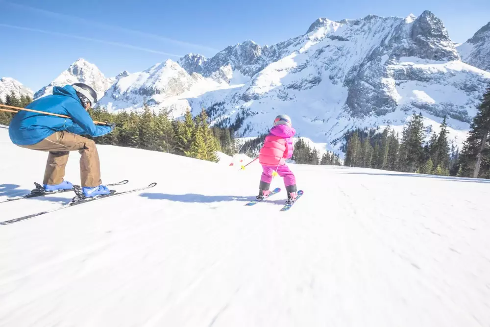 AlpChalets Portes du Soleil 5 étoiles★★★★★