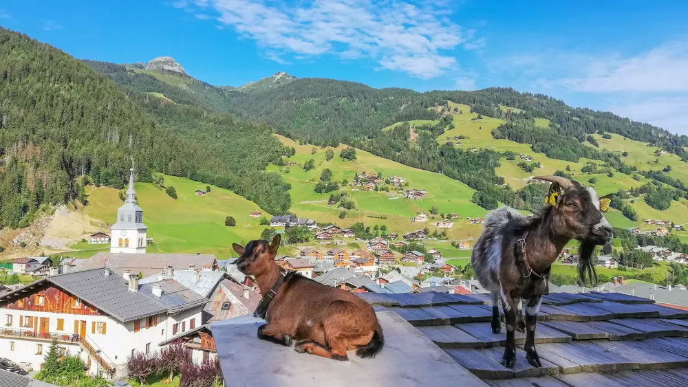 AlpChalets Portes du Soleil 5 étoiles★★★★★