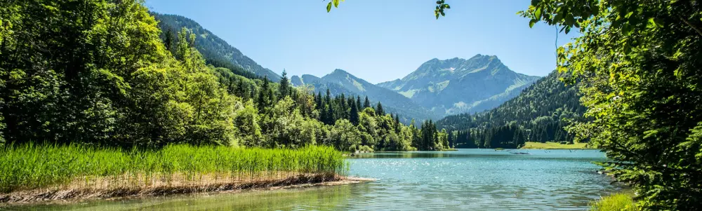 AlpResort Portes du Soleil 4 étoiles★★★★