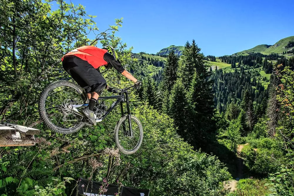 AlpResort Portes du Soleil 4 étoiles★★★★